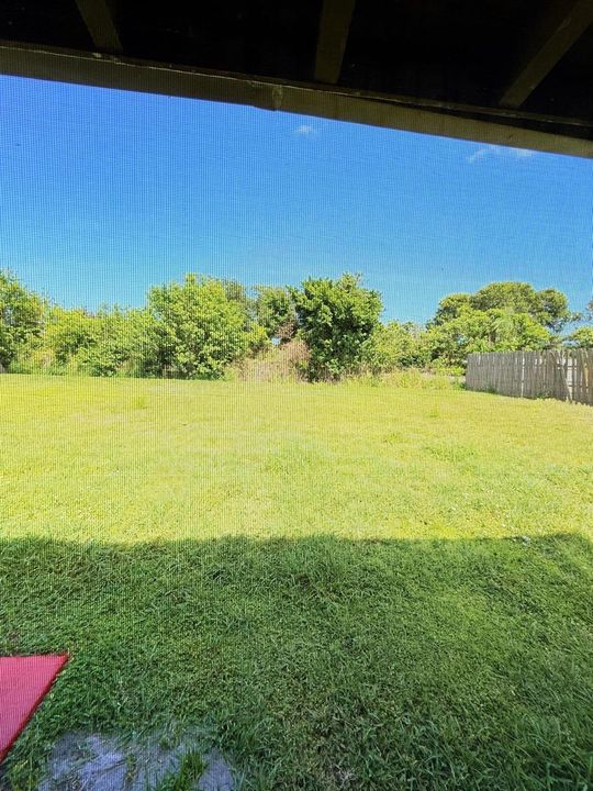 Back yard
