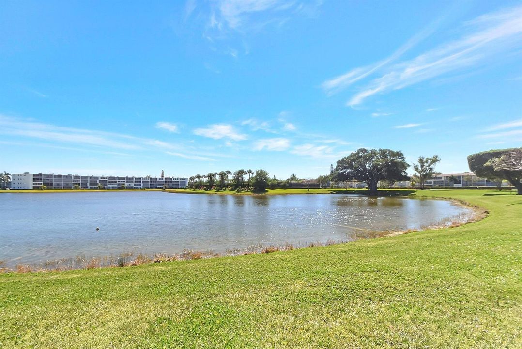 38-web-or-mls-ALP_4632
