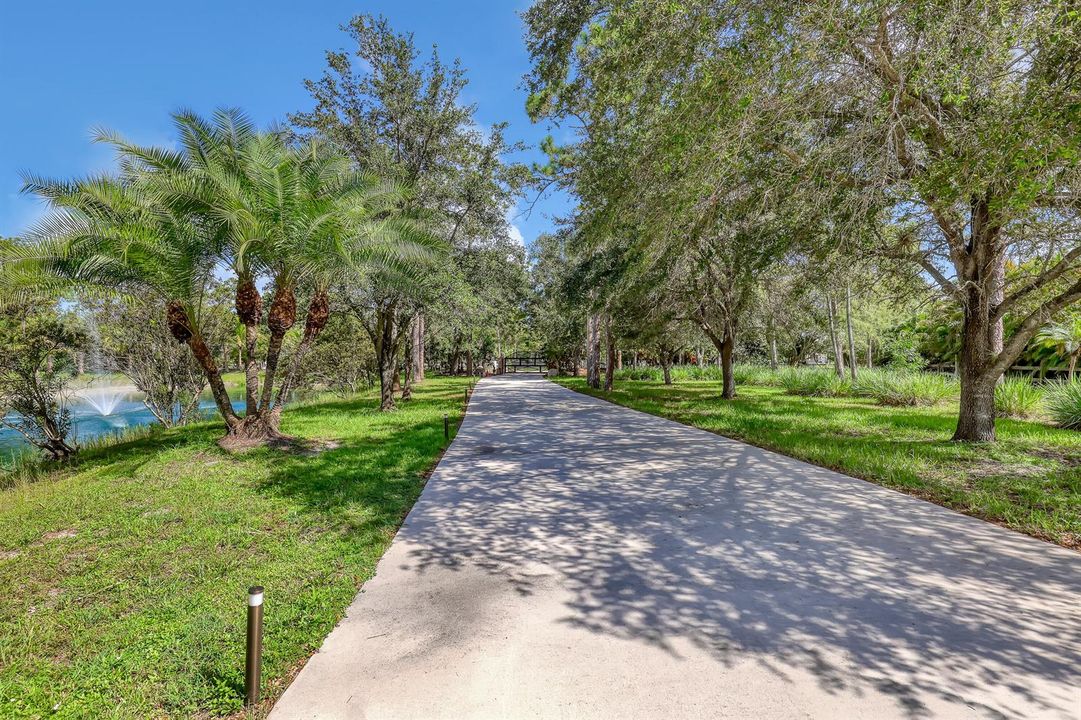 Driveway