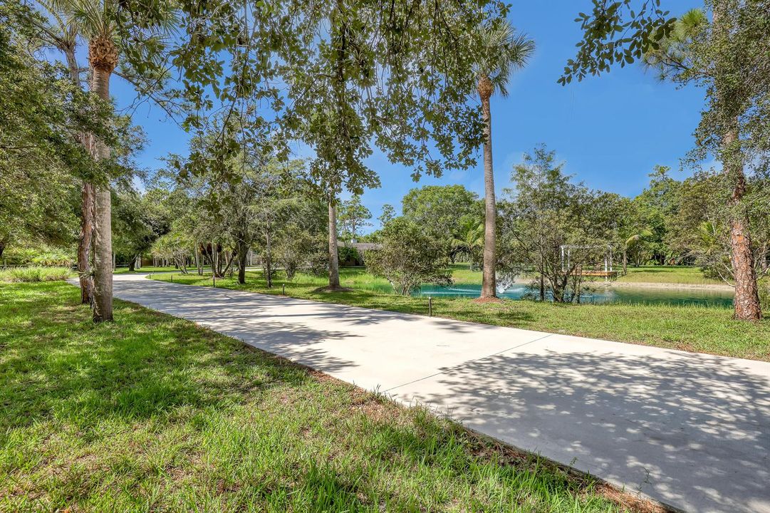 Driveway