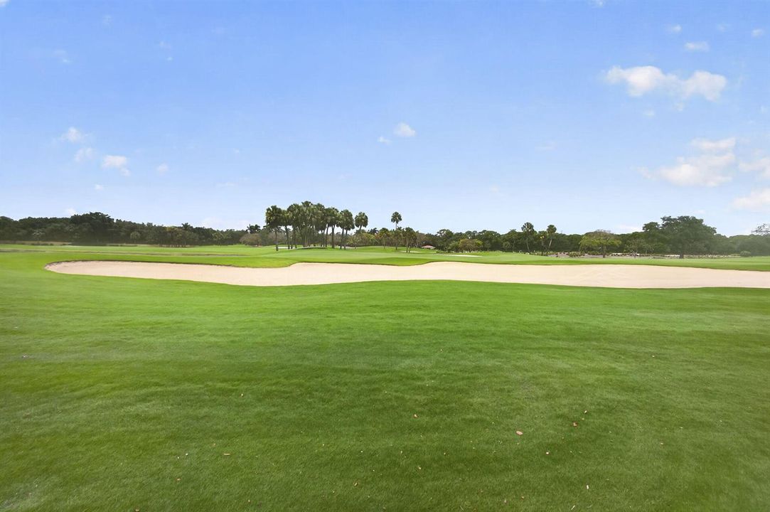 104-web-or-mls-5D1A2182