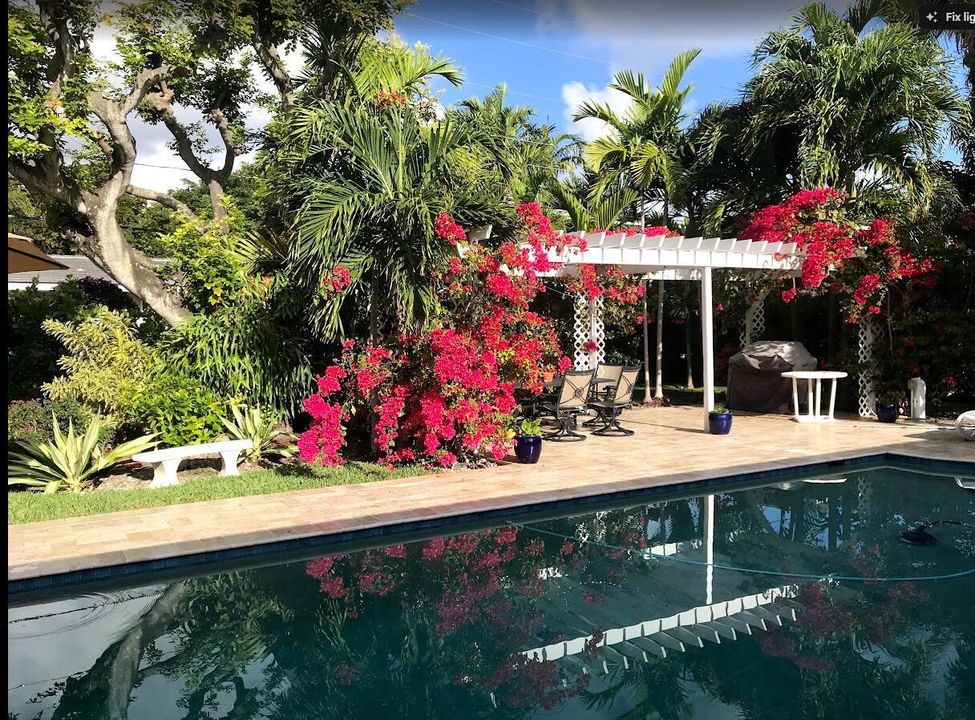 pool and pergola