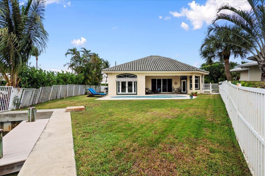 Back yard