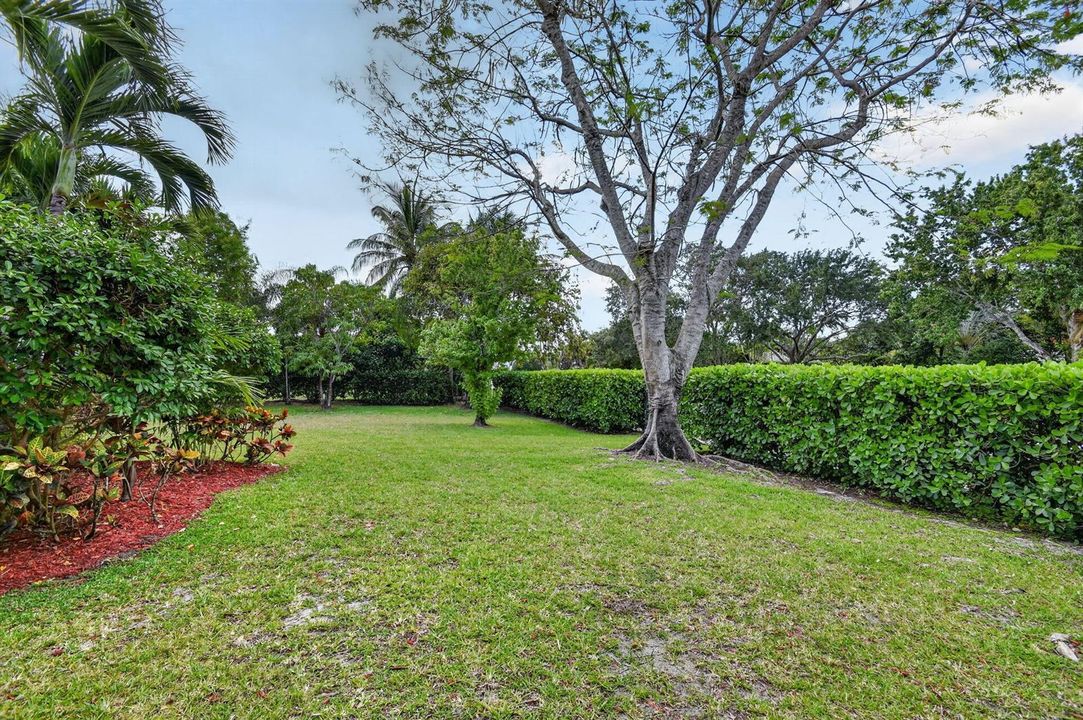 Open Patio Area