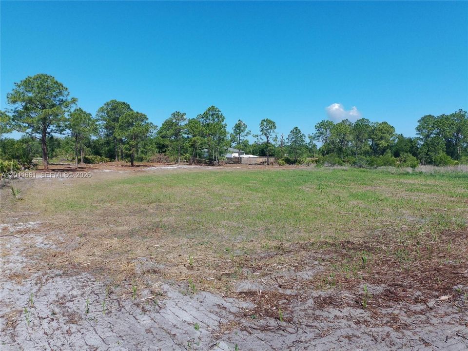 En Venta: $45,000 (1.25 acres)
