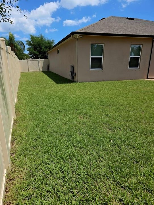 Side Yard Sod
