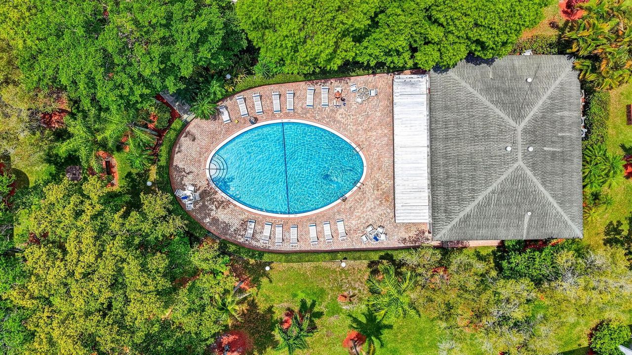 Aerial of Pool