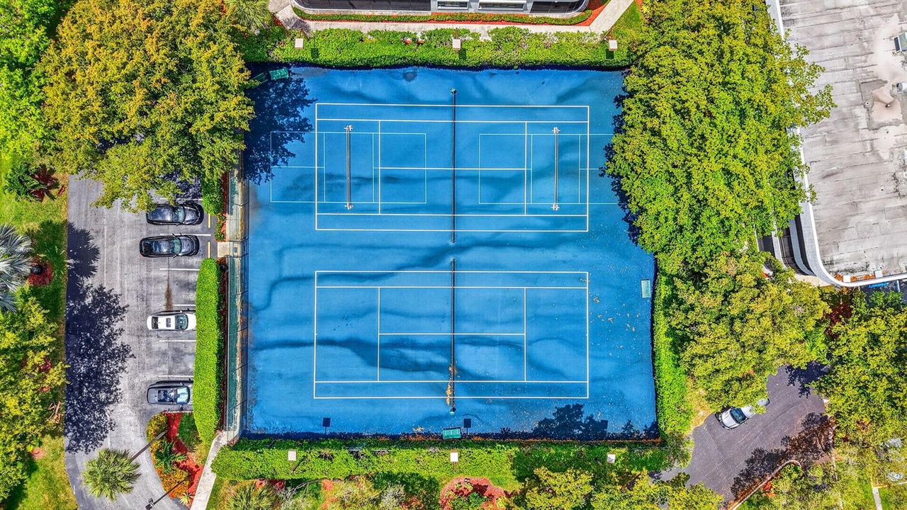 Aerial of Courts