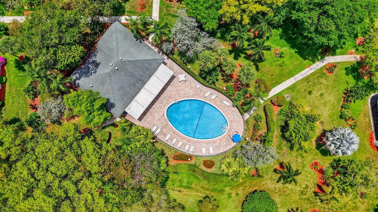 Aerial of Pool