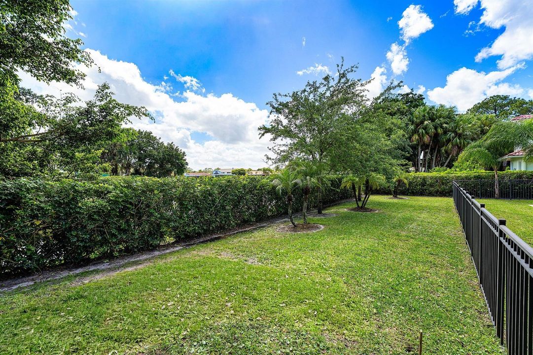 Backyard