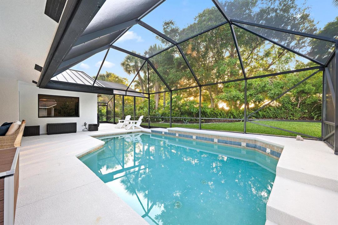 Pool Daylight