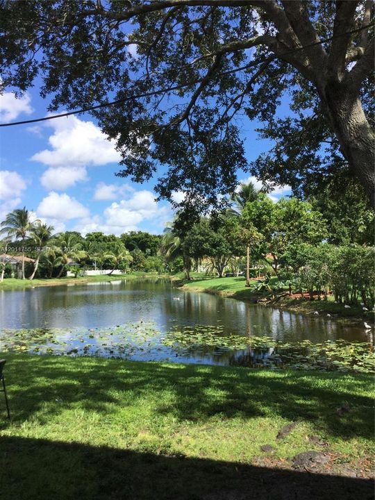 For Rent: $2,700 (3 beds, 2 baths, 5245 Square Feet)