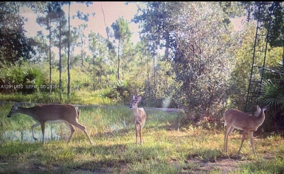 nature at its finest