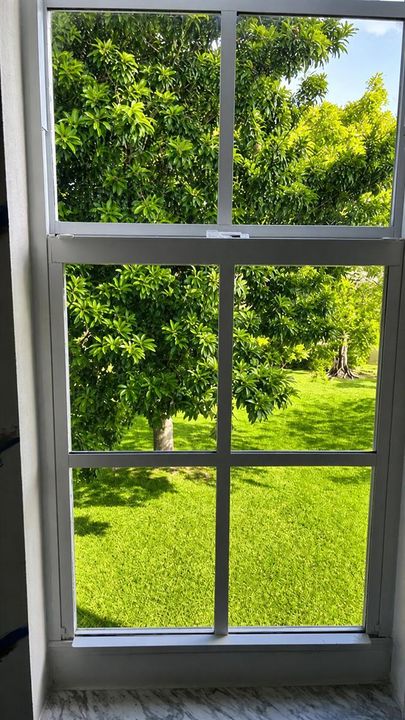 MBR Sunny garden view through window