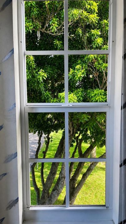 MBR Green foliage through a white-framed