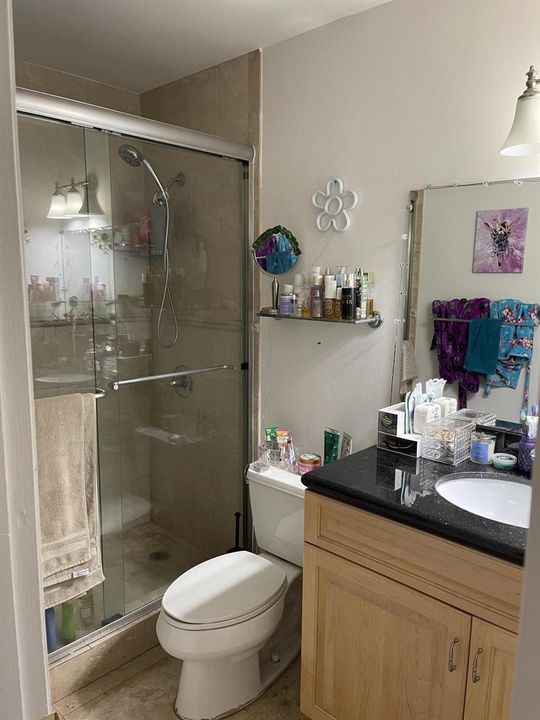 Master Shower Stall1