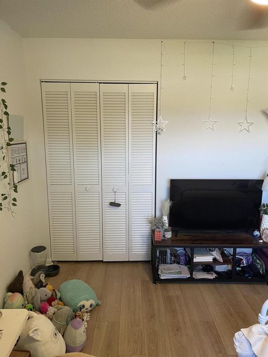 Bedroom2 closet1