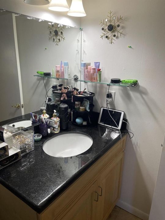 Master Bathroom Vanity