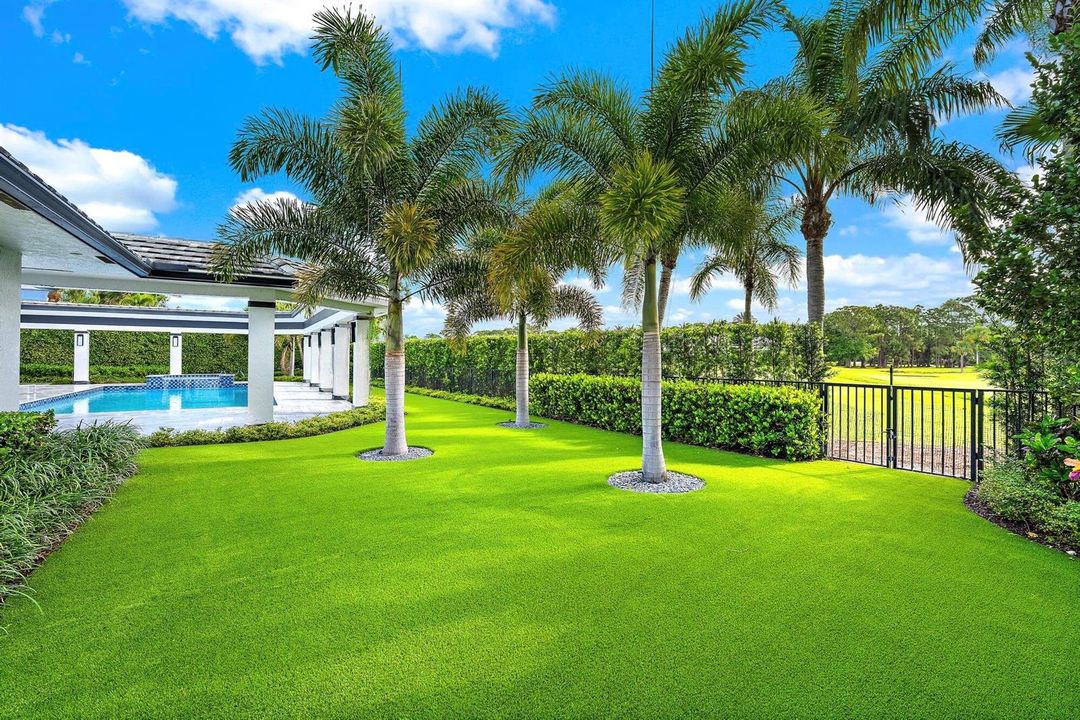 Backyard right