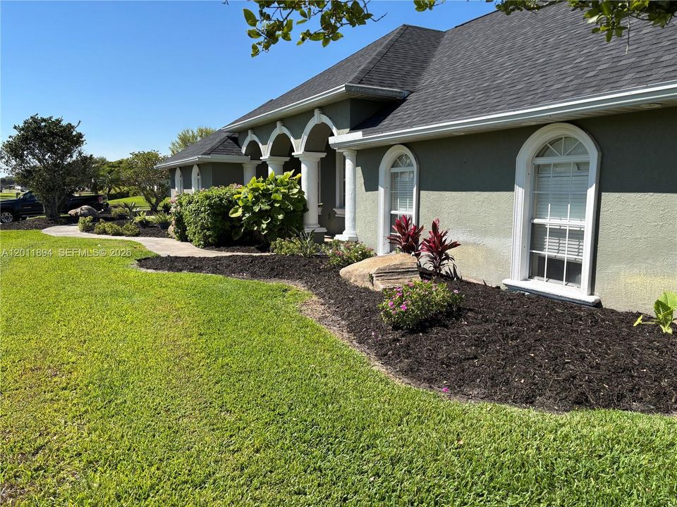 Front garden view
