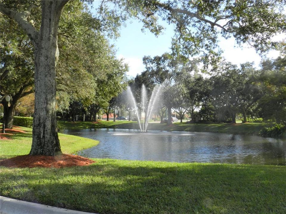 15b The Meadows community