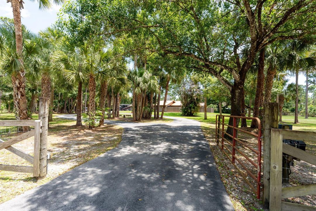 65-web-or-mls-A7405300