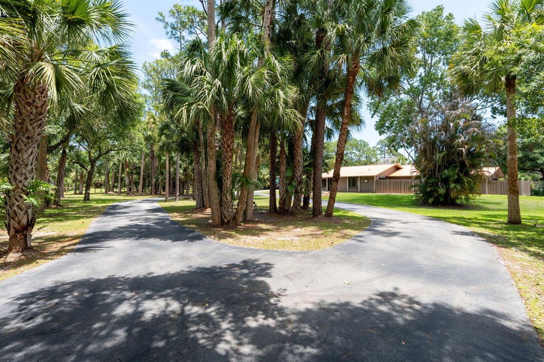64-web-or-mls-A7405301
