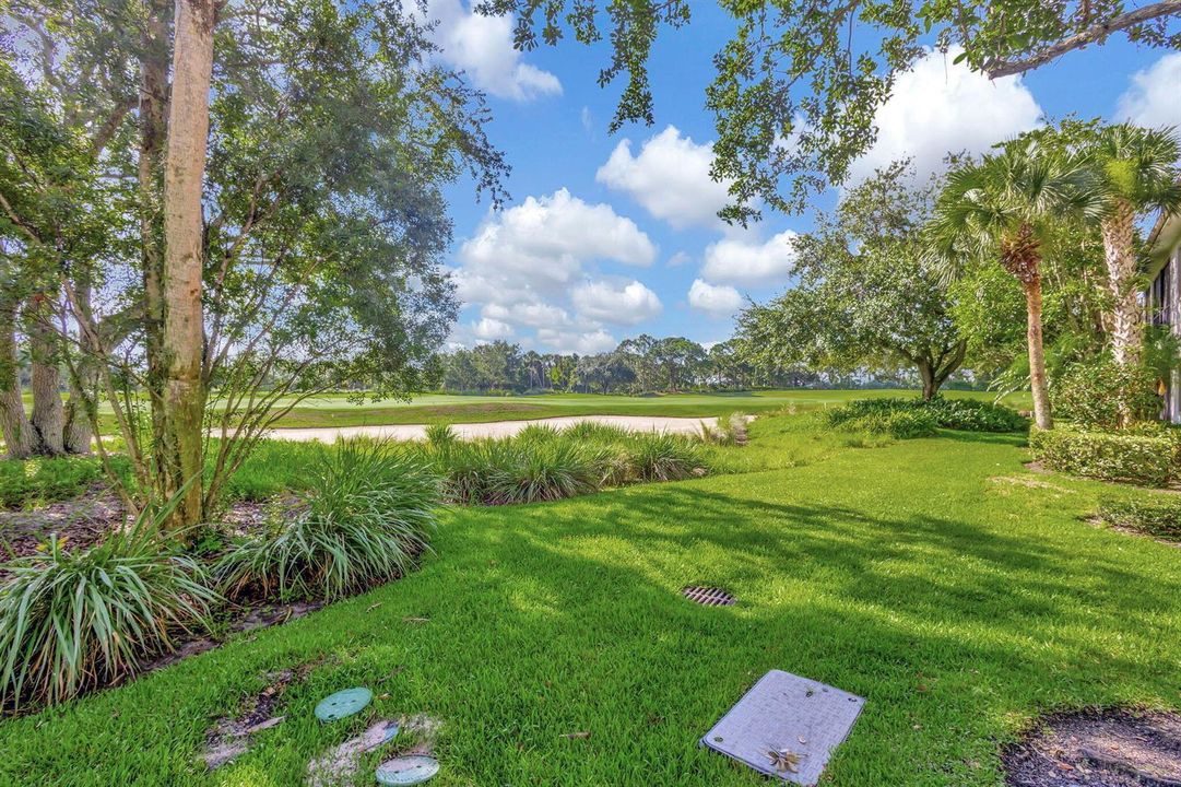 51-web-or-mls-5D1A2787