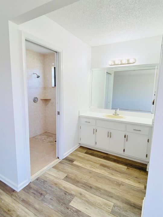 Master Vanity & Bathroom