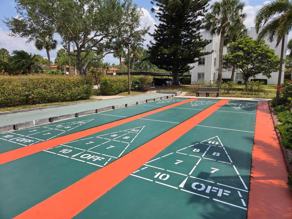 Bocce/Shuffle Board Court