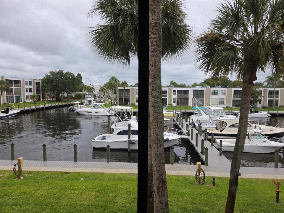 View From Condo