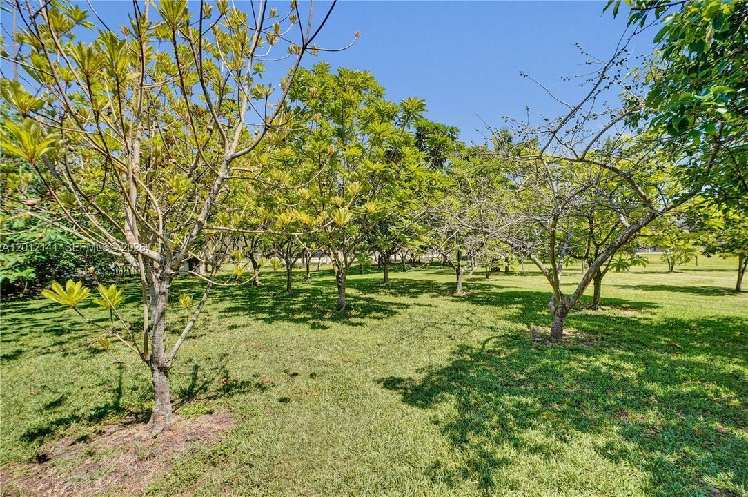 En Venta: $6,490,000 (8 camas, 9 baños, 9196 Pies cuadrados)