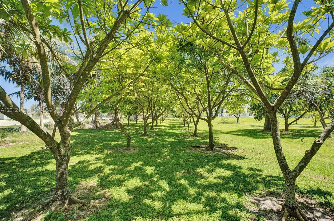 En Venta: $6,790,000 (8 camas, 9 baños, 9196 Pies cuadrados)