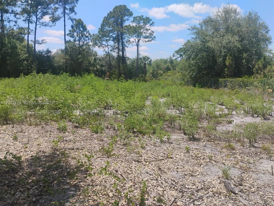 En Venta: $65,000 (1.33 acres)