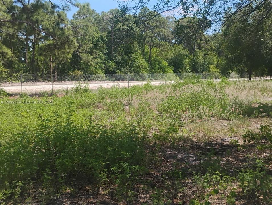 En Venta: $65,000 (1.33 acres)