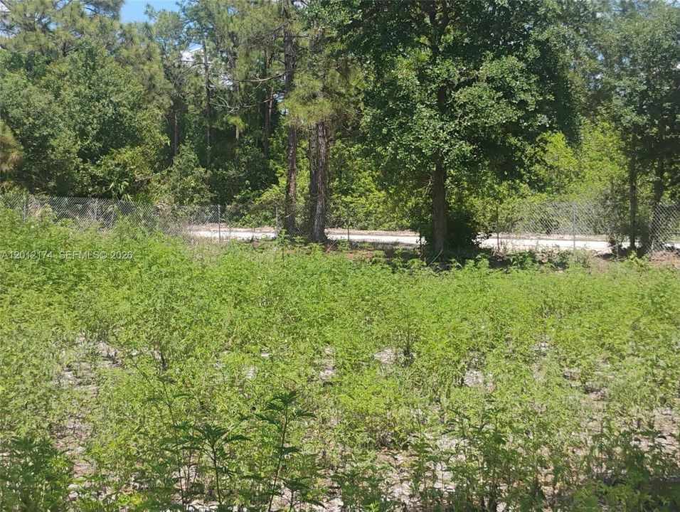 En Venta: $65,000 (1.33 acres)
