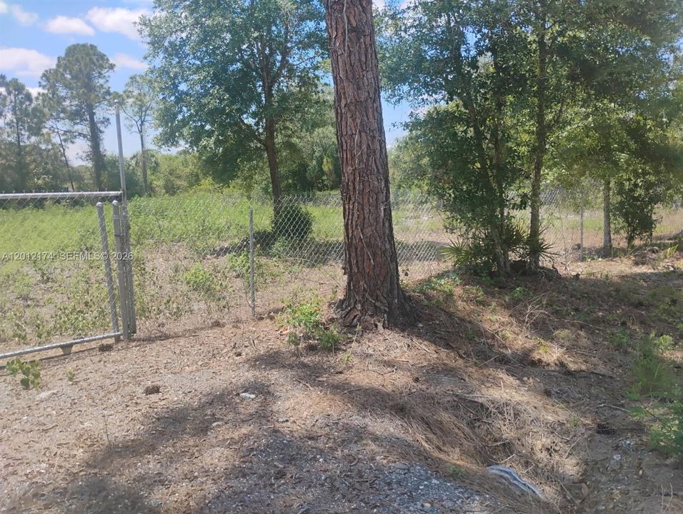 En Venta: $65,000 (1.33 acres)