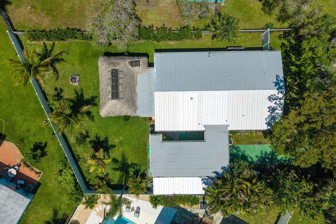 Drone Bird vIEW