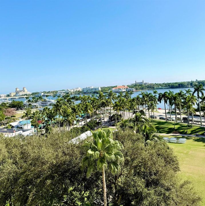 Palm Beach View
