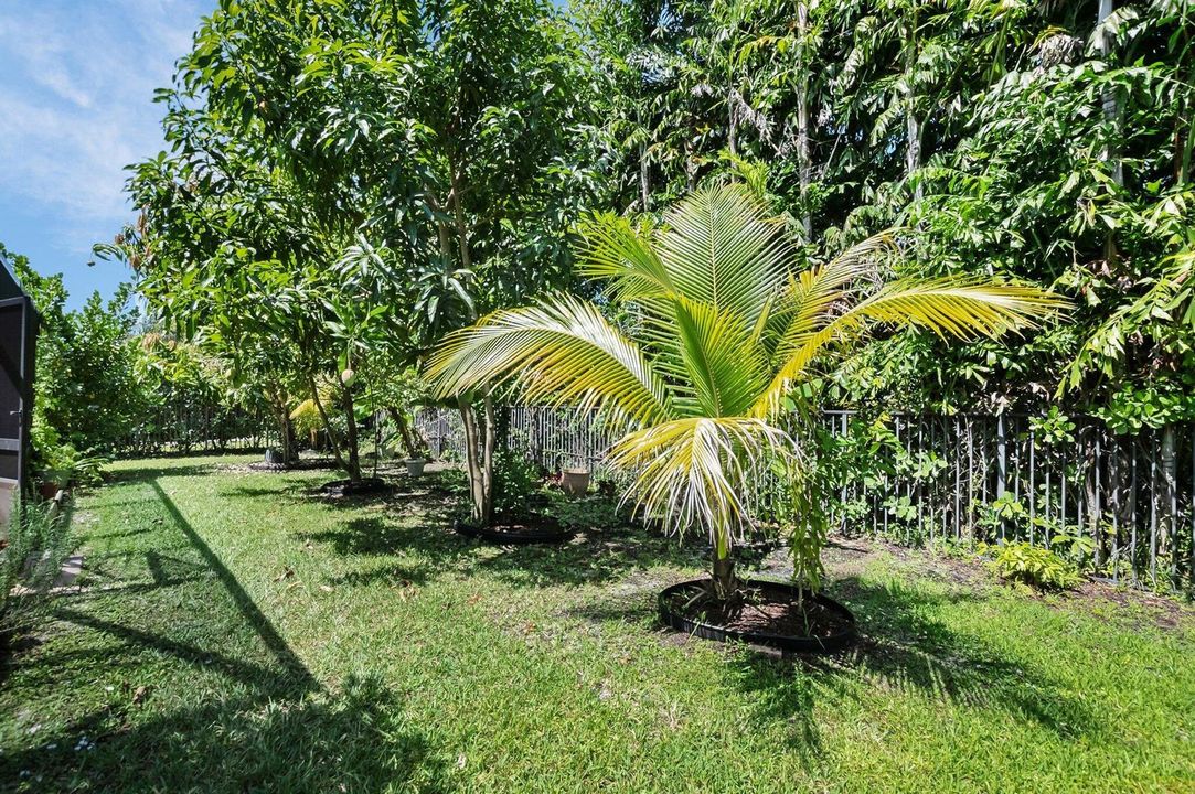 51-web-or-mls-DSC_0381