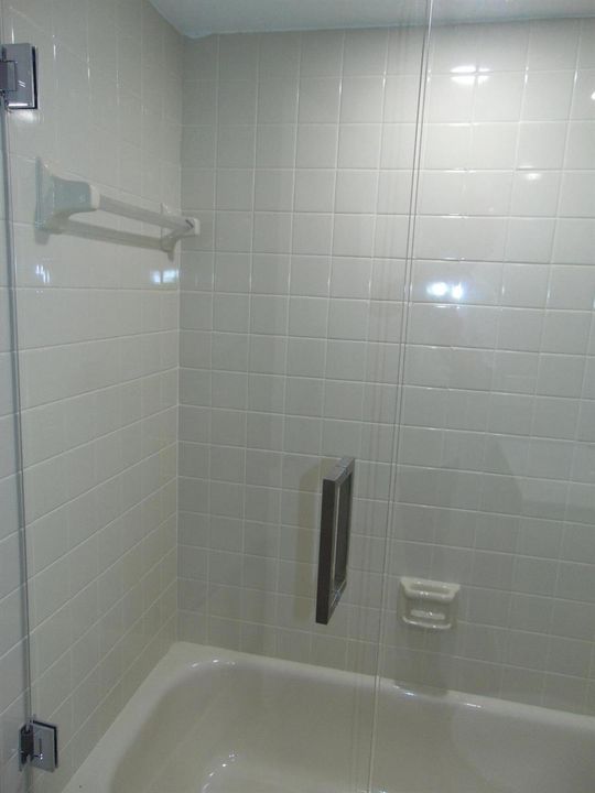 GLASS ENCLOSURE GUEST BATH