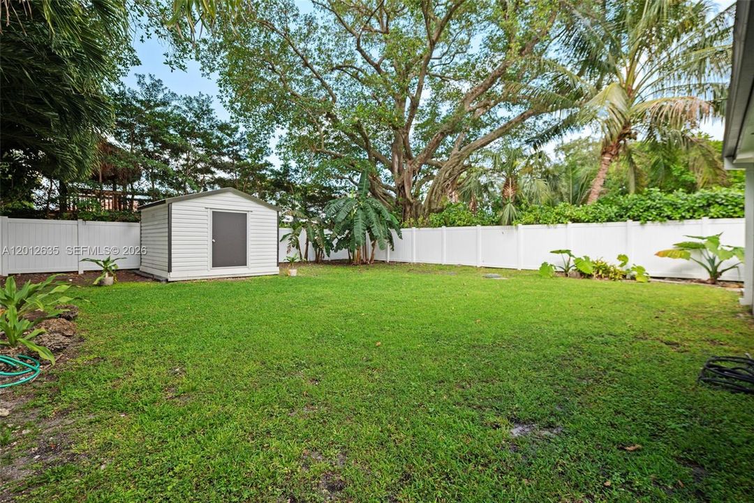 Large fully fenced backyard with lush lawn, mature tropical canopy, banana trees, and county/state-approved 12x12 utility shed rated for 180 mph wind load — room for a pool, Single Family Schenley Park, Miami, Fl 33155