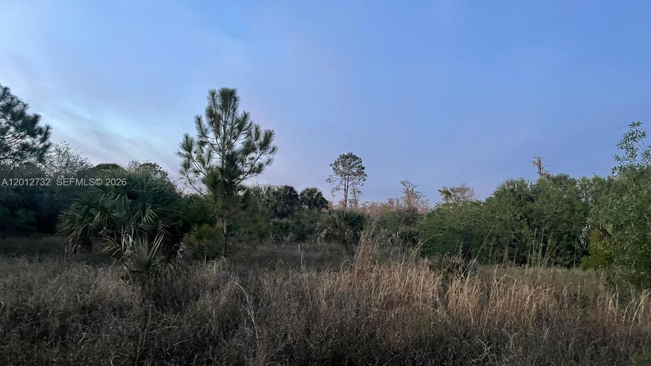 待售: $158,000 (2.73 acres)