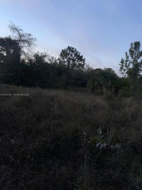 待售: $158,000 (2.73 acres)