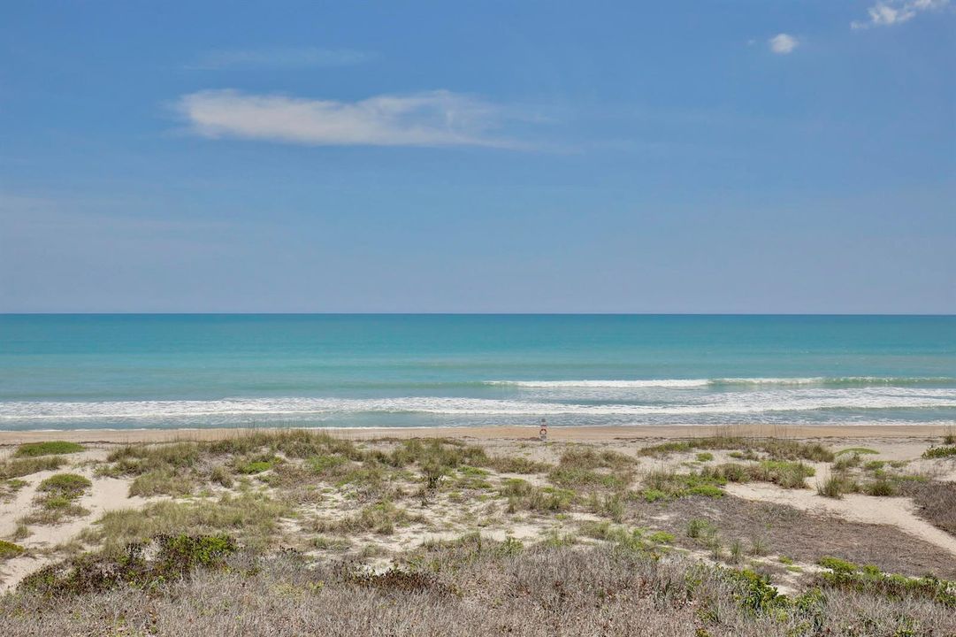 2465 S Atlantic Ave 401 Ocean View