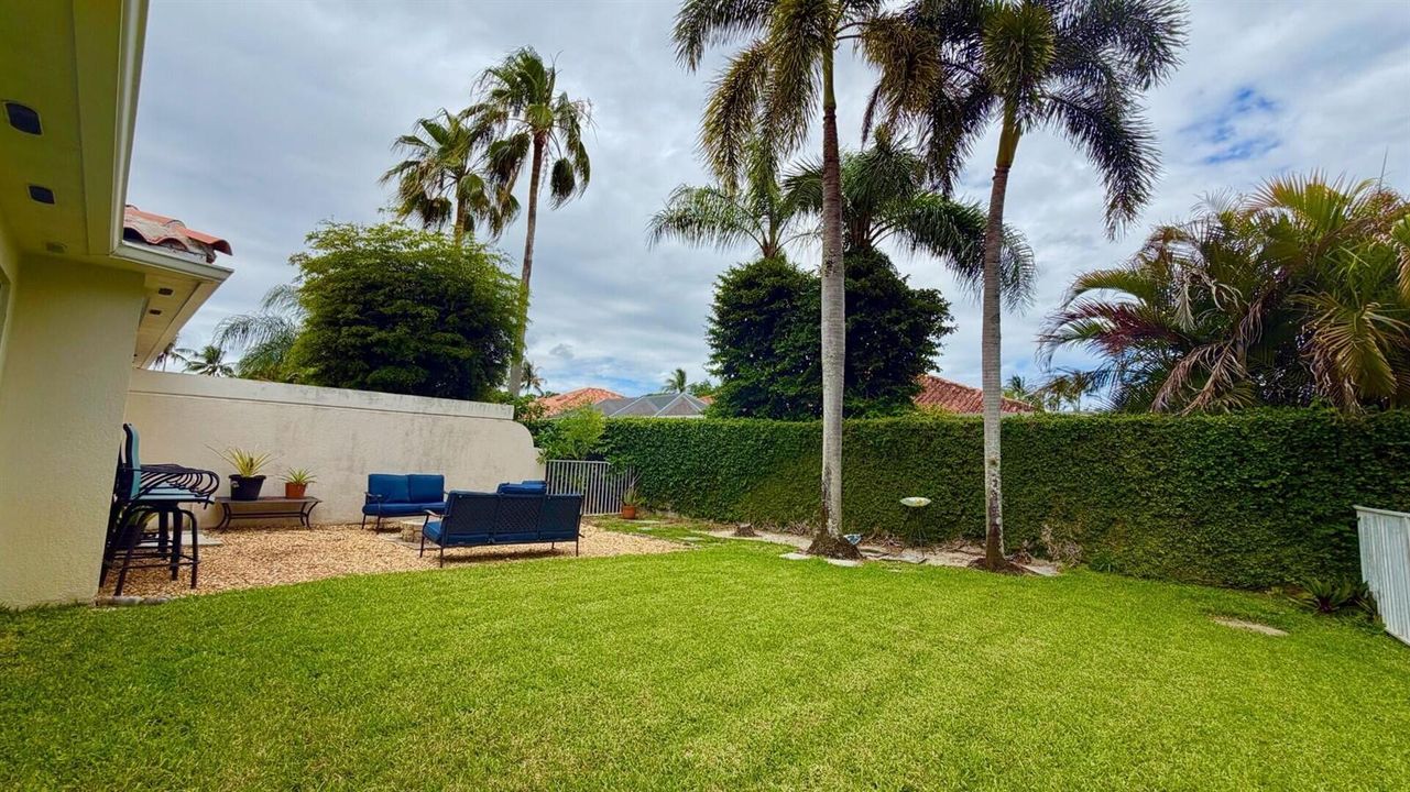 Backyard