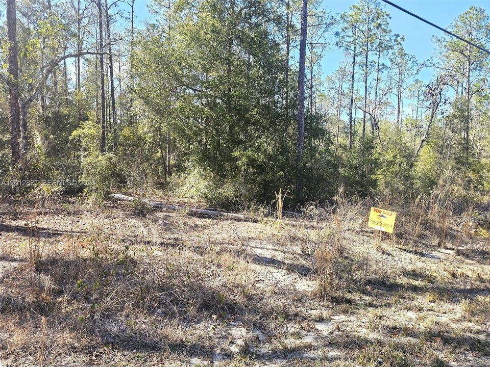En Venta: $28,900 (0.99 acres)