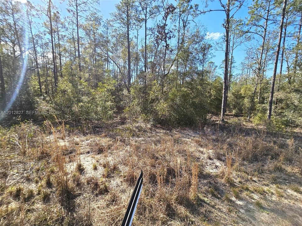 En Venta: $28,900 (0.99 acres)