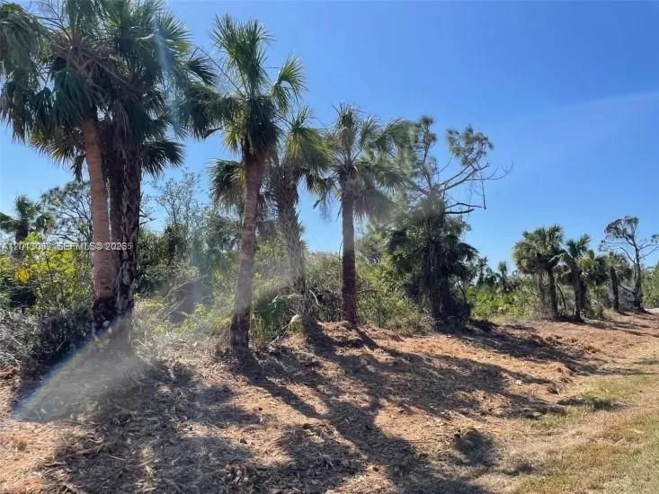 На продажу: $40,000 (0.23 acres)