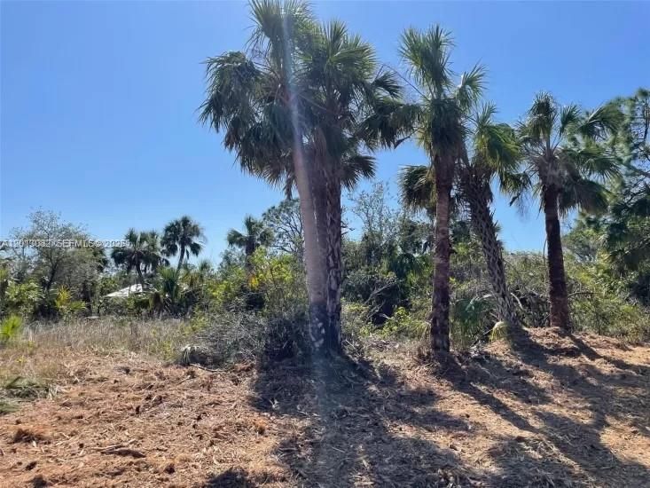 На продажу: $40,000 (0.23 acres)